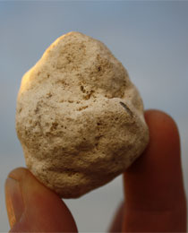 white ambergris