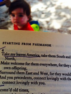 Walt Whitman Literature poetry