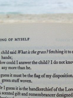 Walt Whitman Leaves of Grass Poetry