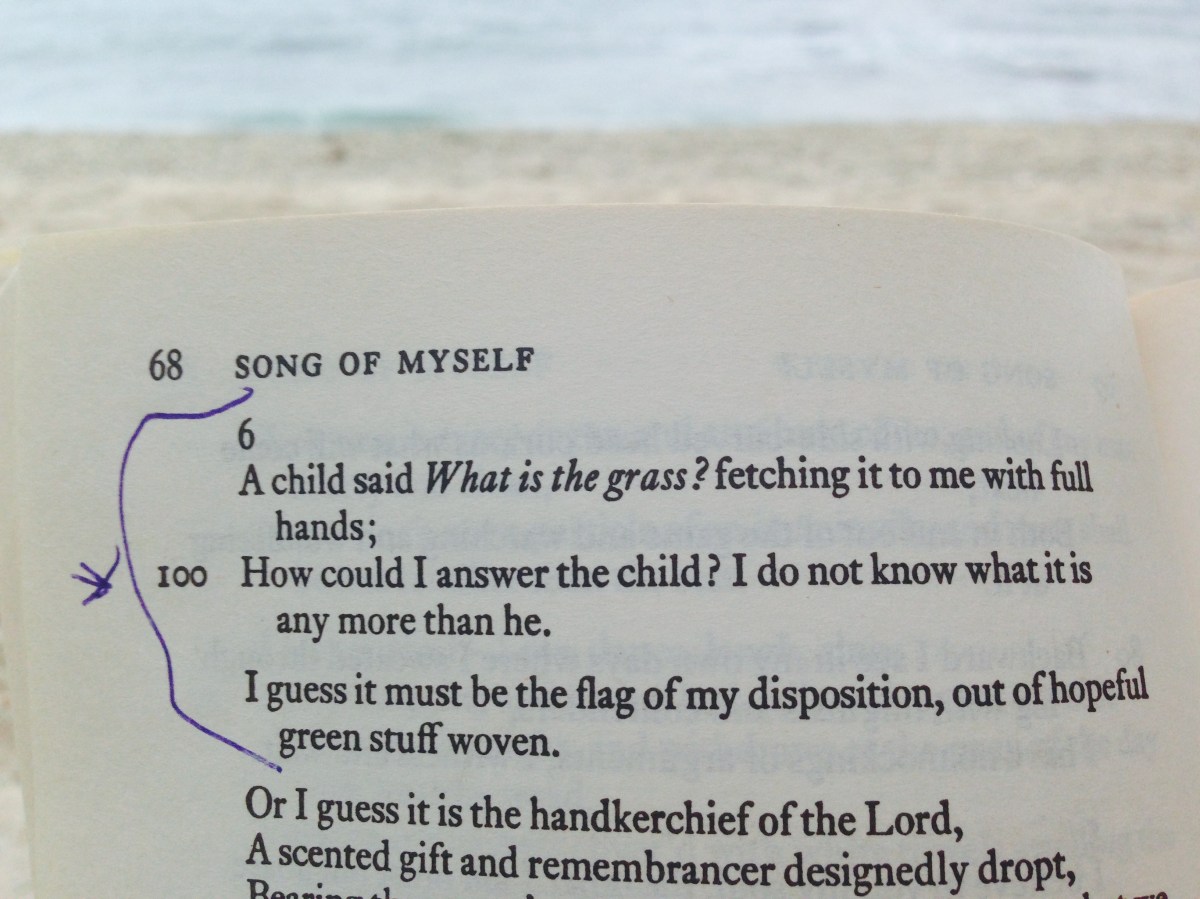 Walt Whitman Leaves of Grass Poetry