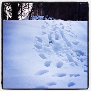 Photo by Jennifer Dean