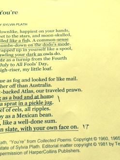 Sylvia Plath Poetry Lit literature