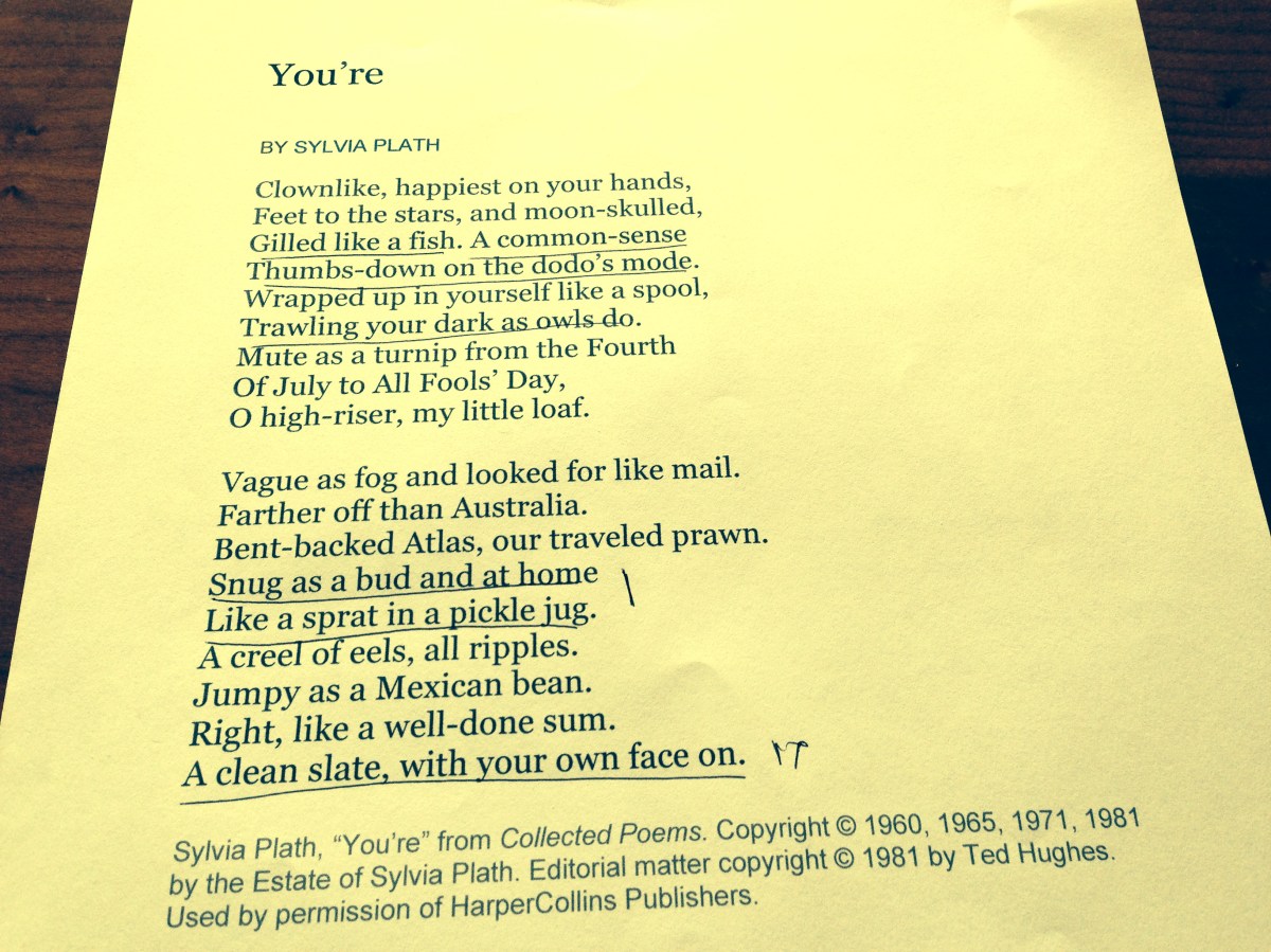 Sylvia Plath Poetry Lit literature