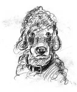 John Steinbeck's poodle, Charley