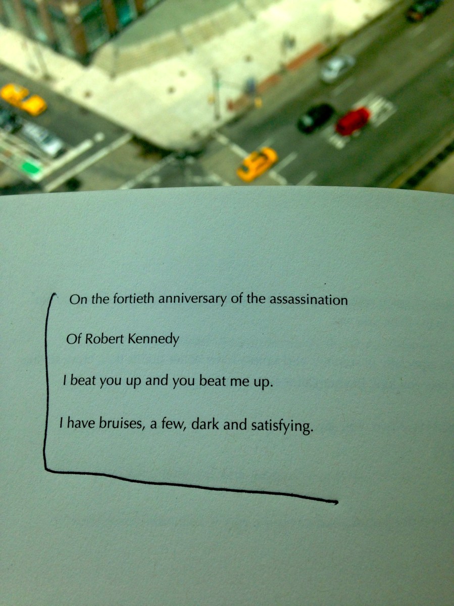 Ariana Reines Poetry Lit Literature