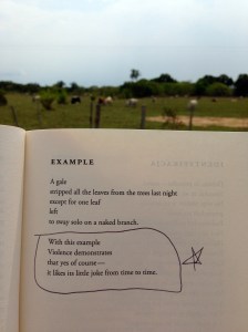 Poetry Wislawa Szymborska