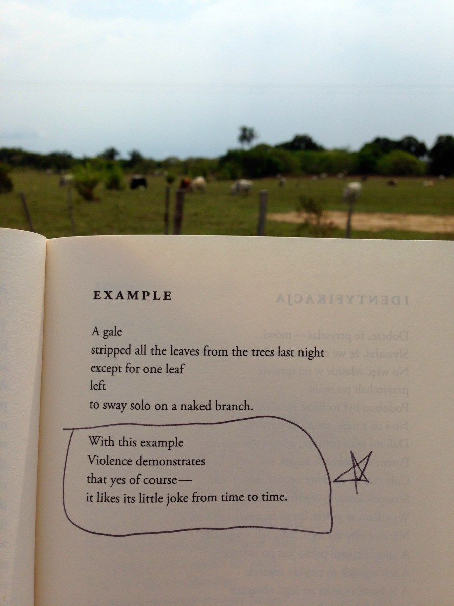 Poetry Wislawa Szymborska