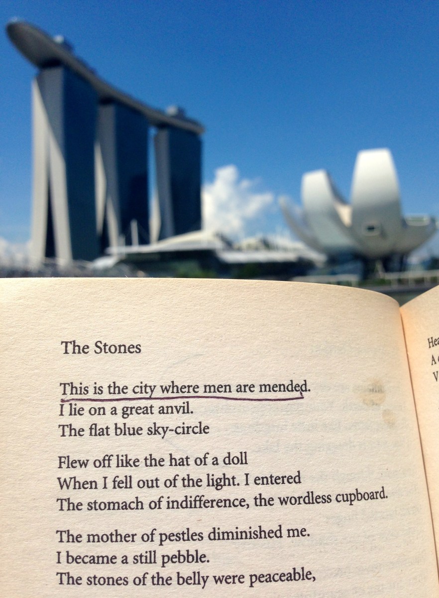 poetry plath lit literature