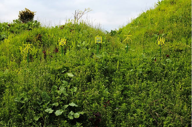 close up characters_8