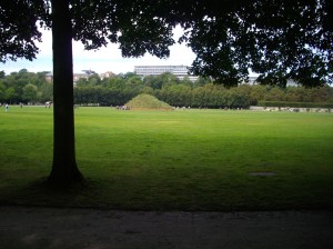 garden from distance_11