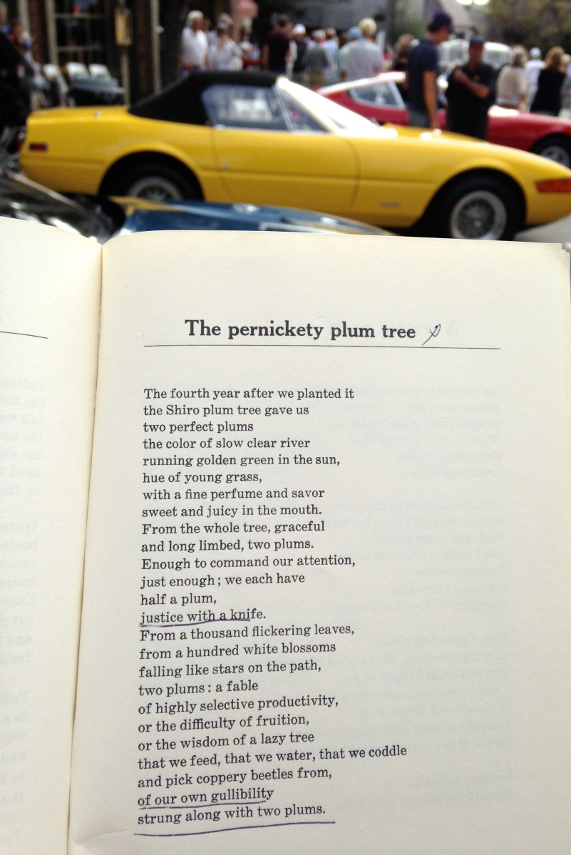 poetry, writing, lit, literature