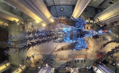 Seen from above, Phoenix of Xu Bing as installed at the Cathedral of St. John the Divine, New York 