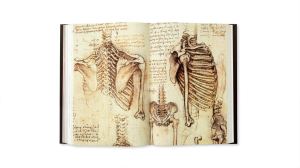 leonardo-da-vinci-the-complete-paintings-and-drawings-taschen-verlag-7-2347