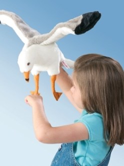 girl with pet seagull