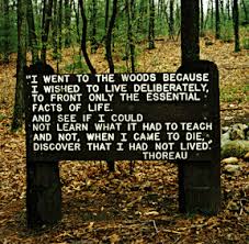 "I went to the woods" -- lines from Thoreau's Walden, on sign near his cabin site at Walden Pond