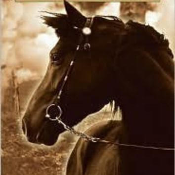 War Horse, from cover photo for Scholastic Press edition (author Michael Morpurgo)