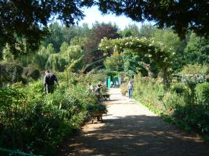 fig. 1 Monet flower garden