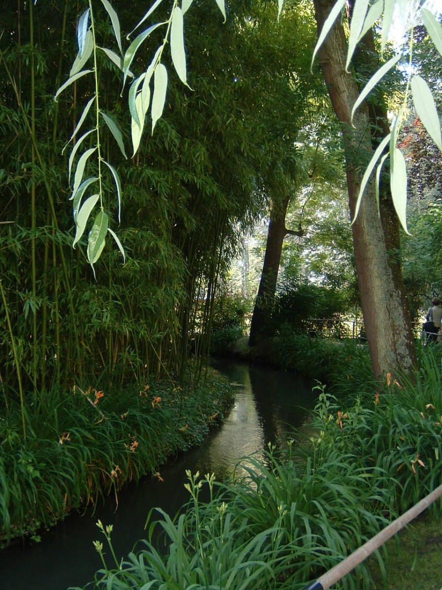 Monet, Giverny, trees in water garden