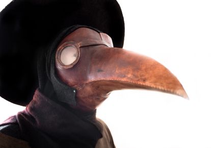 Medieval bird mask