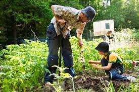 gardening, man and child