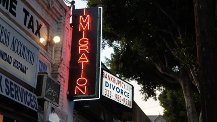 IMMIGRATION + tax, bankruptcy, divorce; source unknown