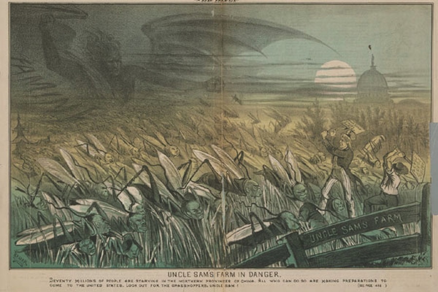 Immigration cartoon - locusts