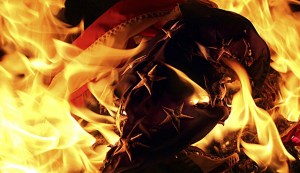 Flag Burning (image used in Zeteo's Sponteous Fall Issue, 2016)